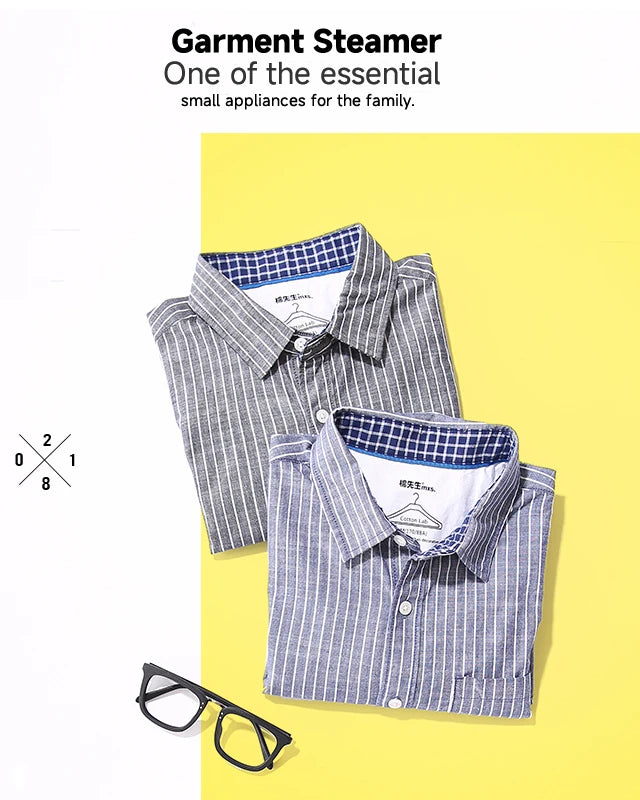 Handheld Clothing Plate Iron