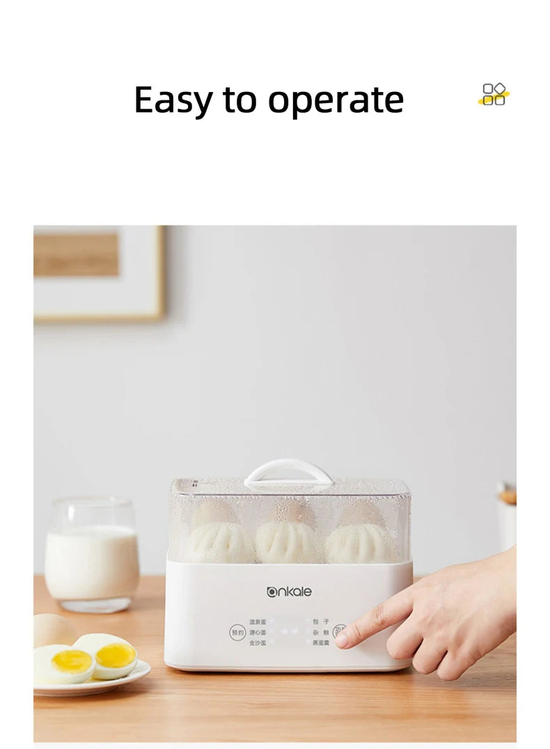 Eggs Boiler Multi Function Rapid Electric Egg Cooker