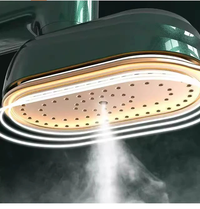 Handheld Clothing Plate Iron