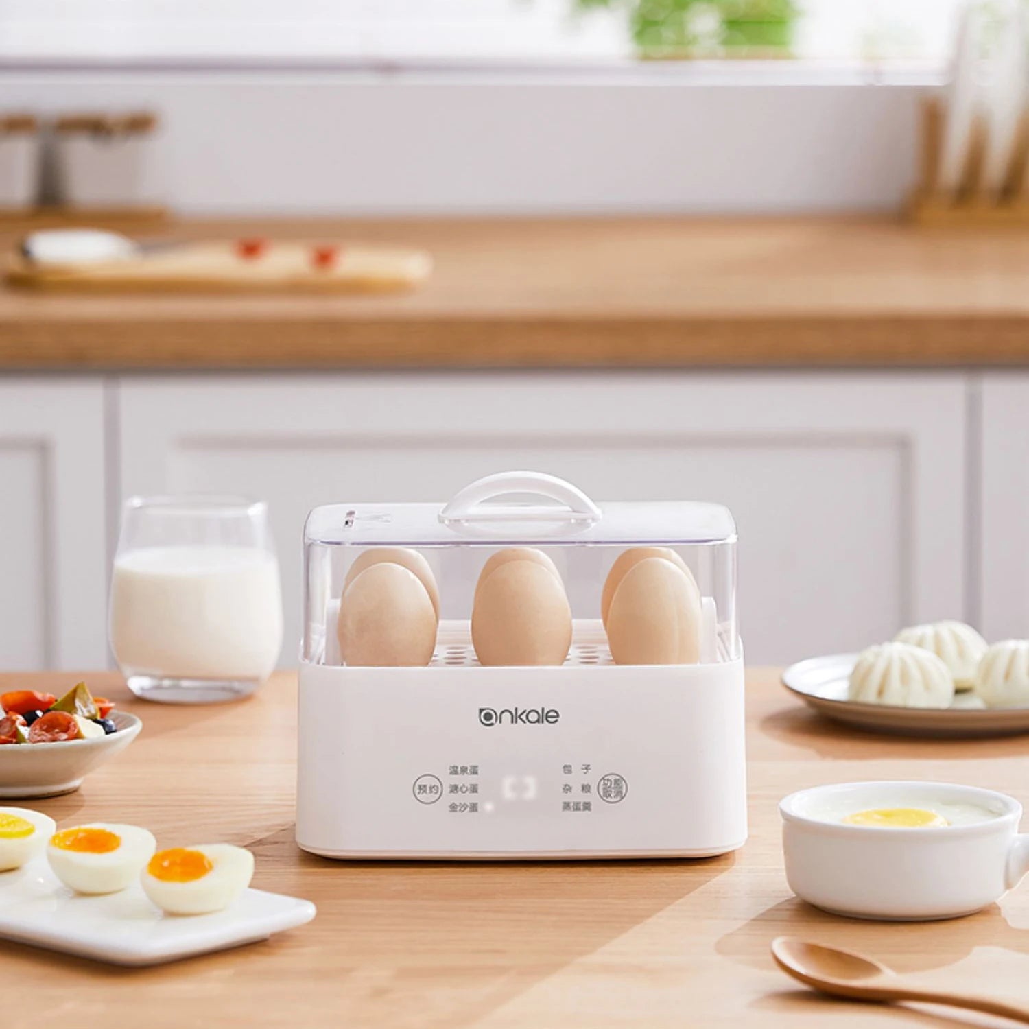 Eggs Boiler Multi Function Rapid Electric Egg Cooker