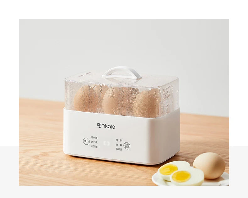 Eggs Boiler Multi Function Rapid Electric Egg Cooker